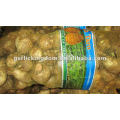 New Fresh Taro for Middle East market